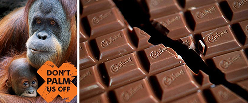 Cadbury PalmOil