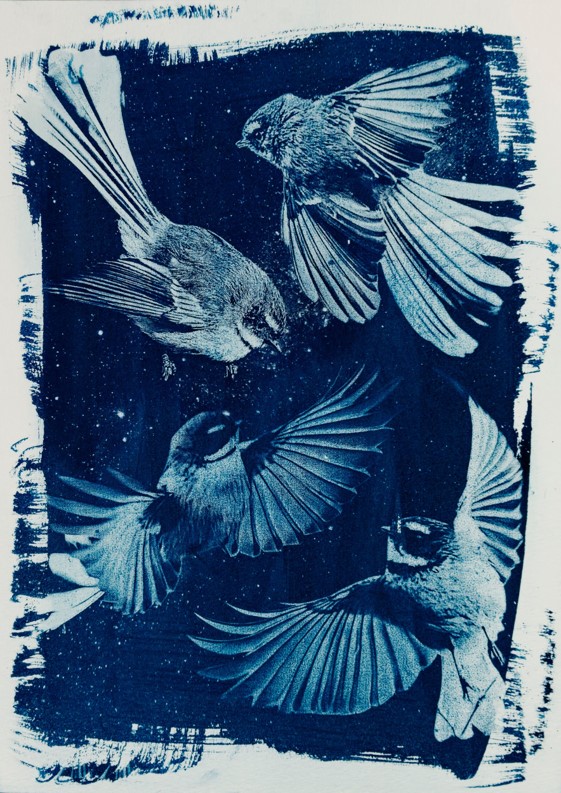 Zenobia Southcombe 1