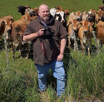 mecows