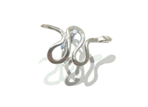 Snake IMG 5053