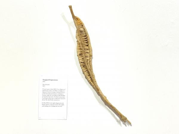 IMG 0904