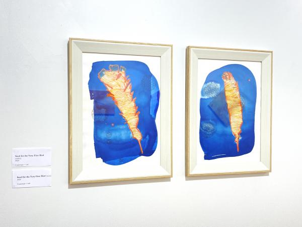 IMG 0907
