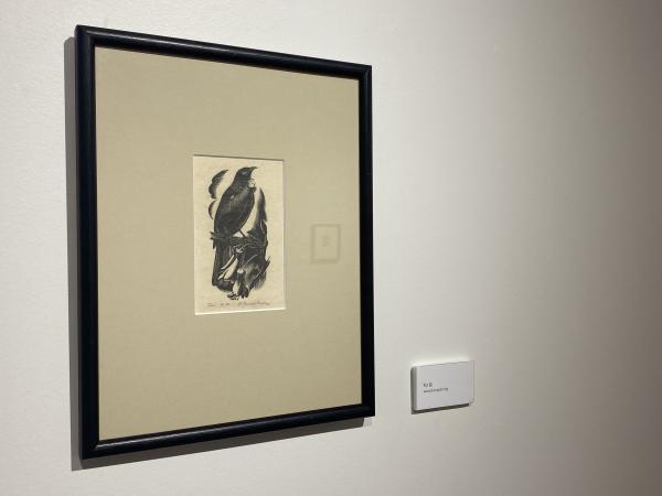 IMG 4374