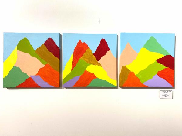 RP FREDDY BARTLEY The Hills
