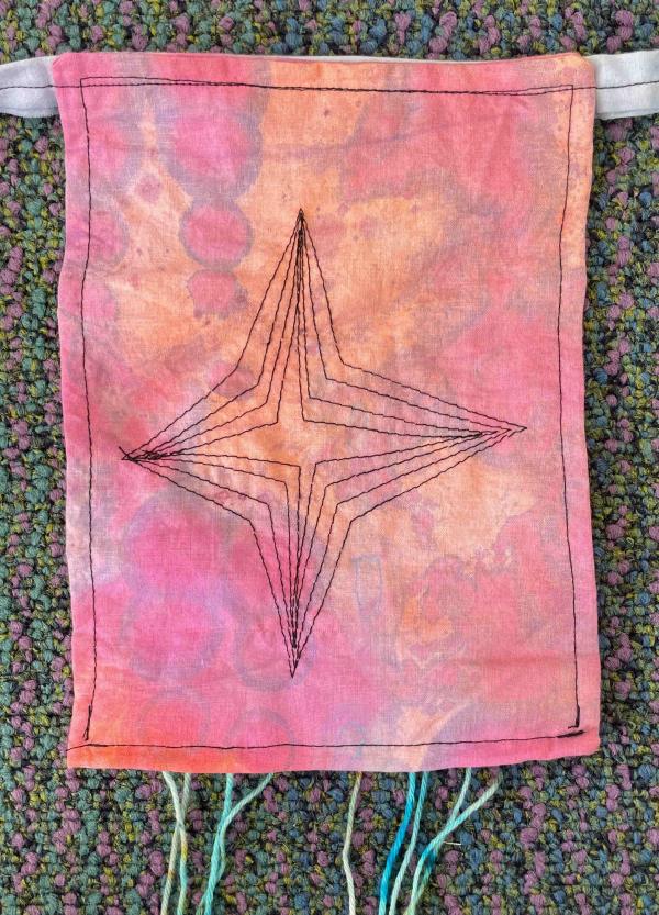 Matariki IMG 5859