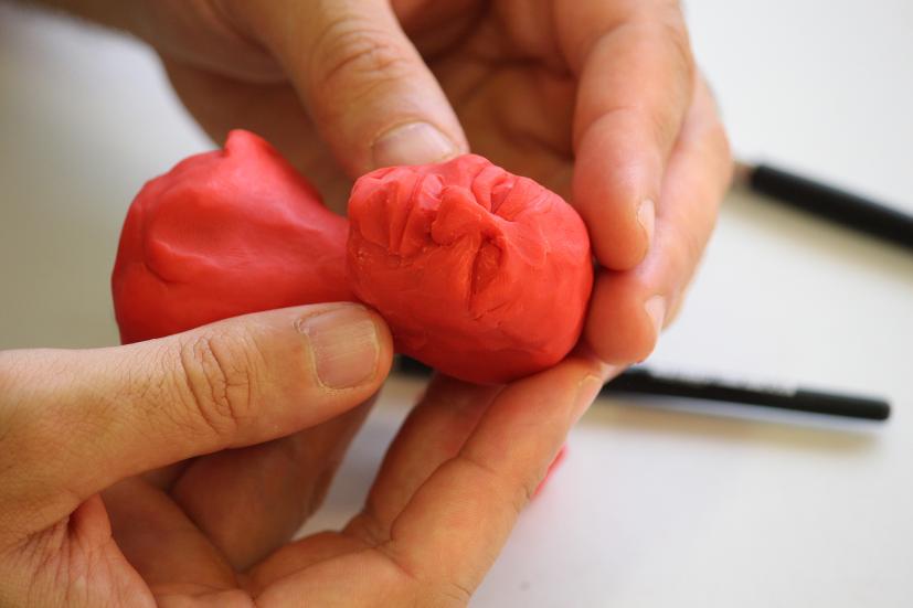 sculpt