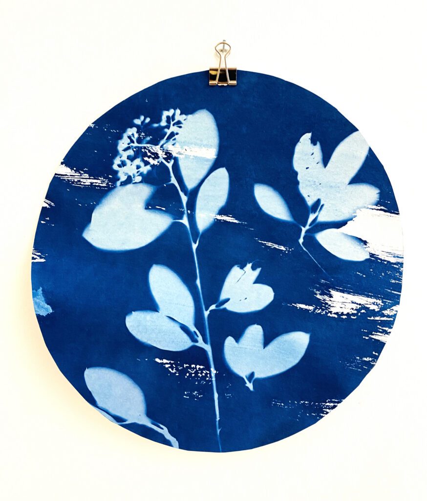 The Learning Connexion Art Programme Creative Art School Printmaking Classes Cyanotype 2