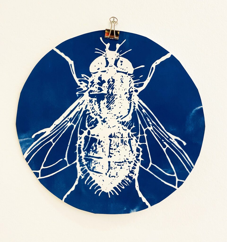 The Learning Connexion Art Programme Creative Art School Printmaking Classes Cyanotype 3