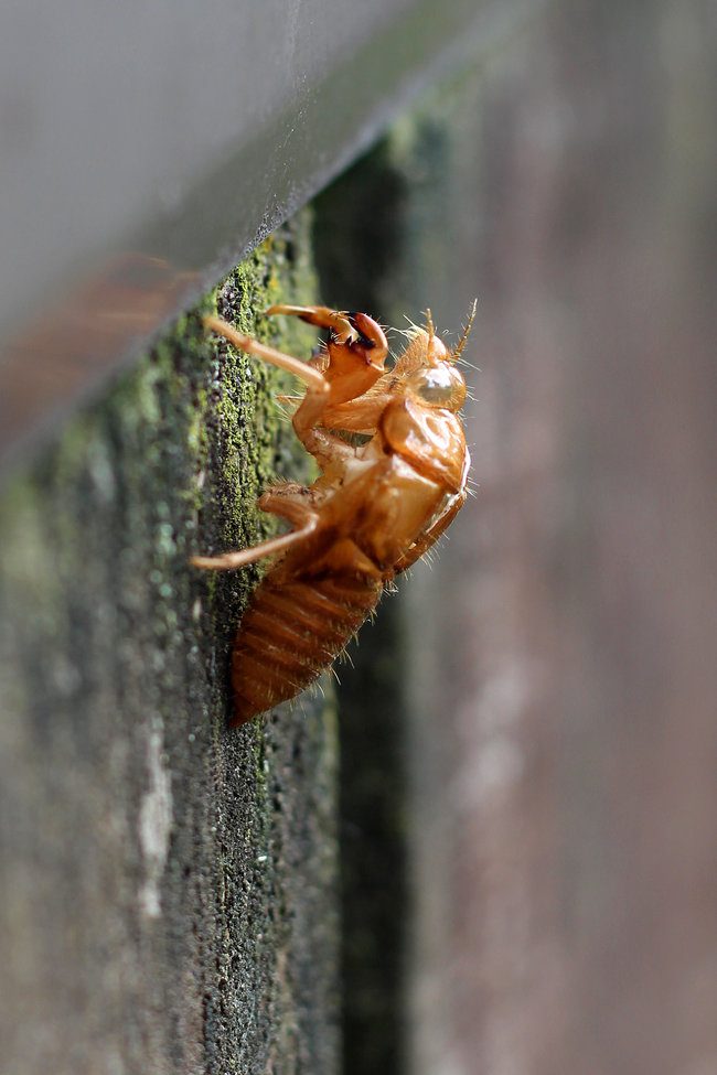 The Learning Connexion Art School Creative Arts Photography Course student Jasmine Robins 2