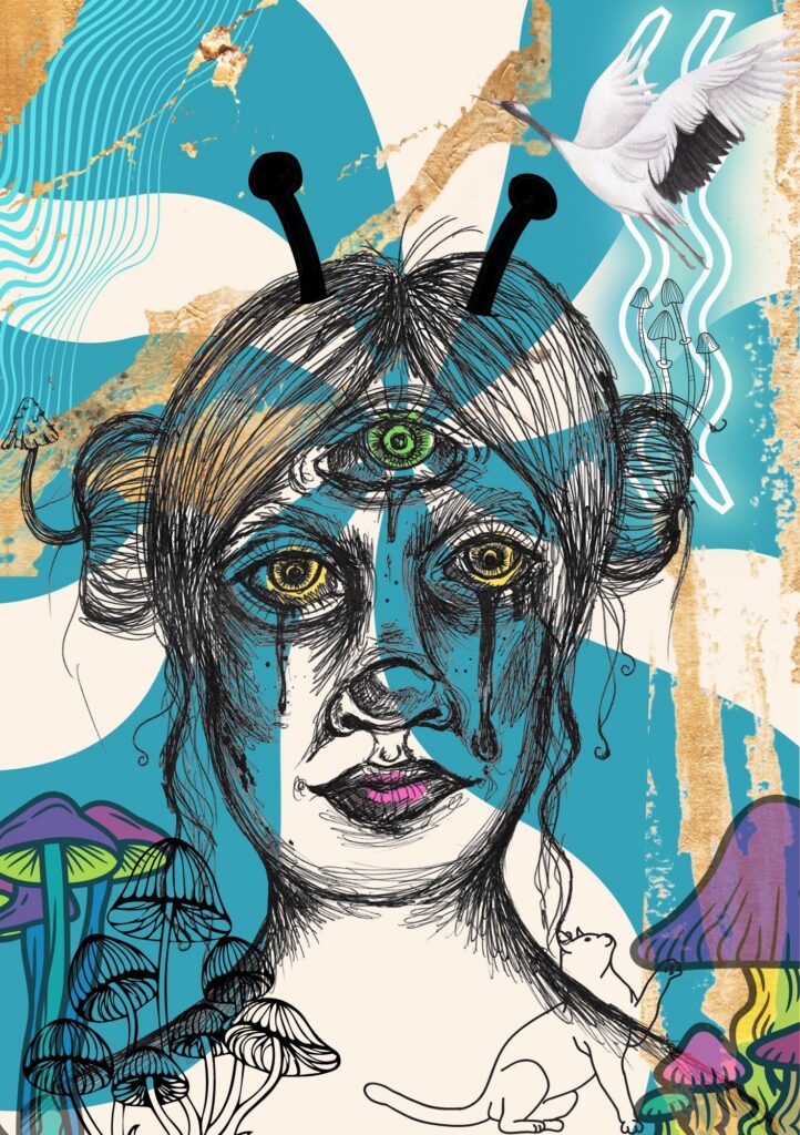 The Learning Connexion Art School Digital Art Courses Distance Delivery Janine Carnihan 3