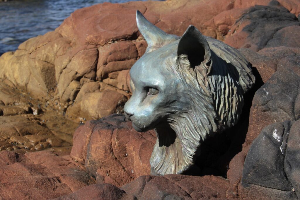 The Learning Connexion Art School Hot Arts Course artist Viv Winch Mr Fox 2